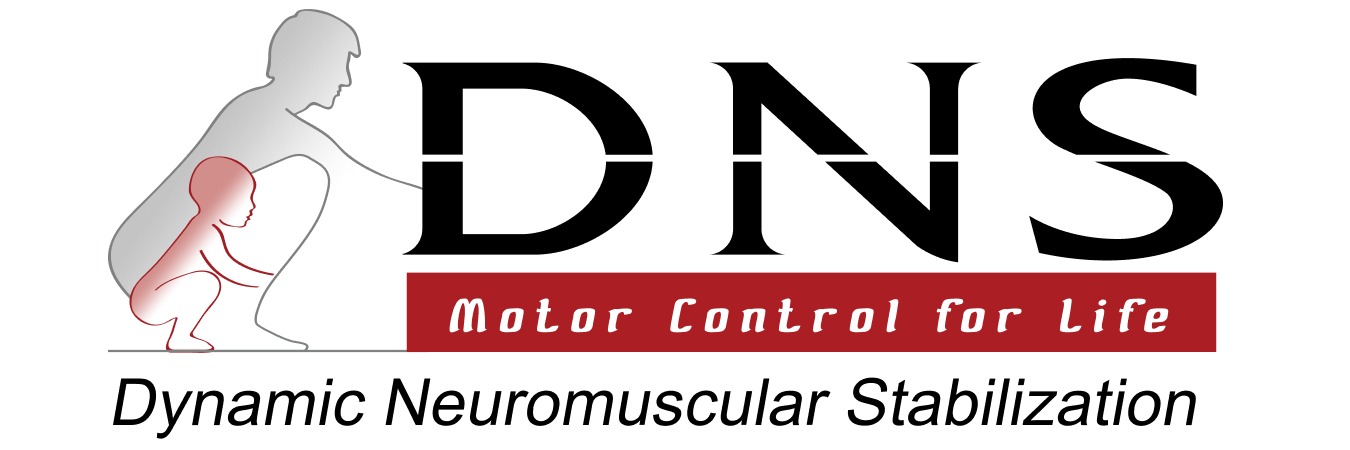 DNS sponsor logo